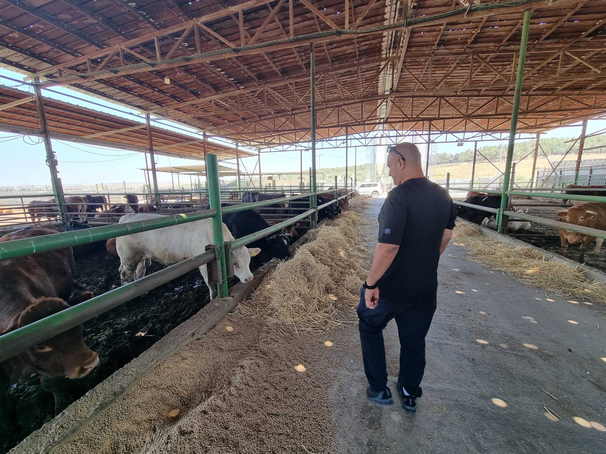 WhatsApp Image 2022-06-04 at 1.19.54 PM (1).jpeg